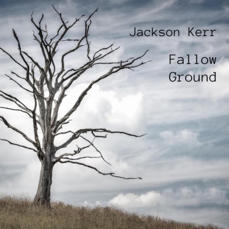 Fallow Ground | Boomplay Music
