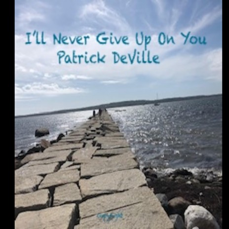 I'll Never Give Up On You | Boomplay Music