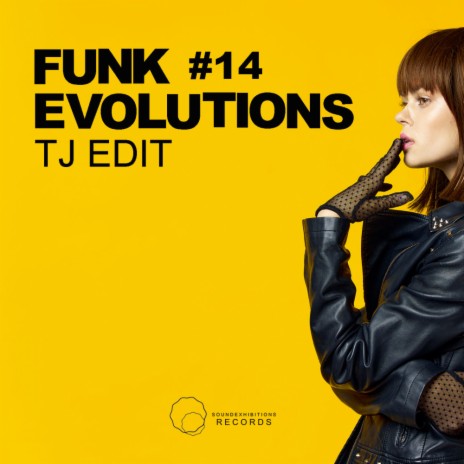 Funk Evolutions 14 (Original Mix)