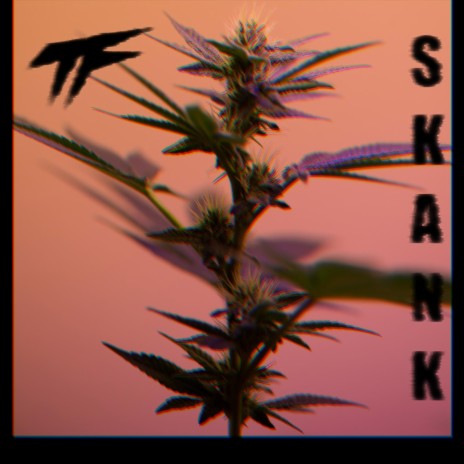 Skank | Boomplay Music