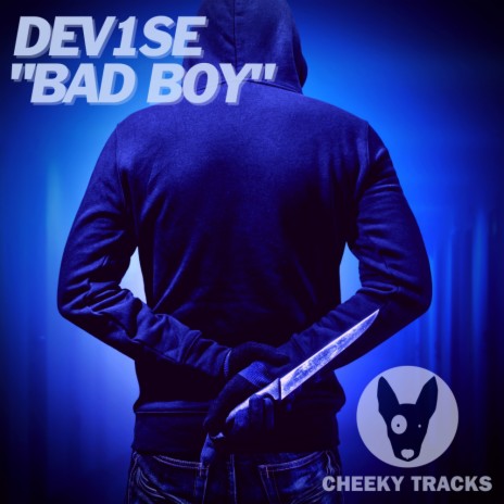 Bad Boy (Radio Edit) | Boomplay Music