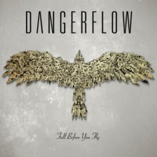 Dangerflow