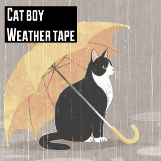 Weather Tape