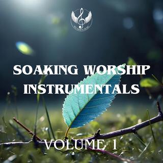 Soaking Worship Instrumentals, Vol. 1