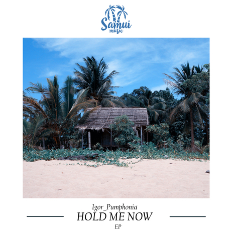 Hold Me Now | Boomplay Music