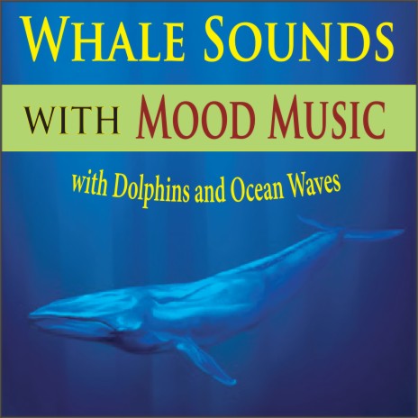 Ocean Waves with Reflective Piano | Boomplay Music