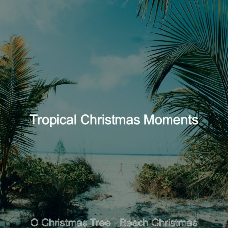 Christmas at the Beach We Wish you a Merry Christmas | Boomplay Music