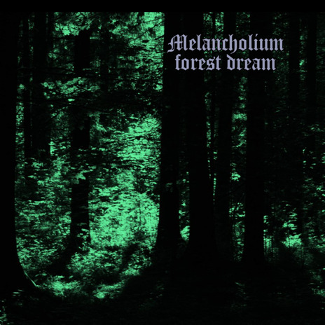 Forest Dream