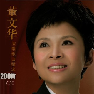 董文华演唱歌曲精选200首(1)I