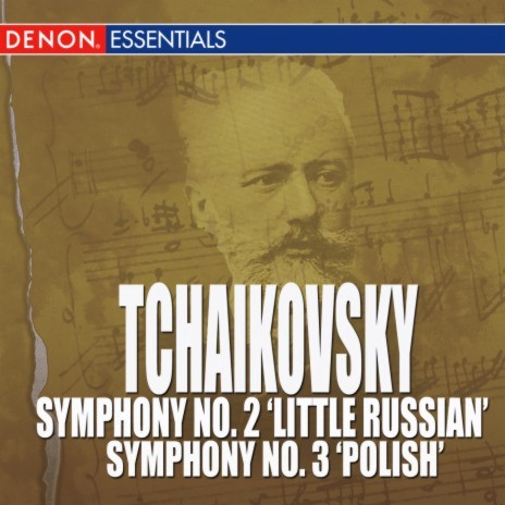 Tchaikovsky: Symphony No. 2 In C Minor Op. 17 'Little Russian' - Andante ft. Orchester der Wiener Staatsoper | Boomplay Music