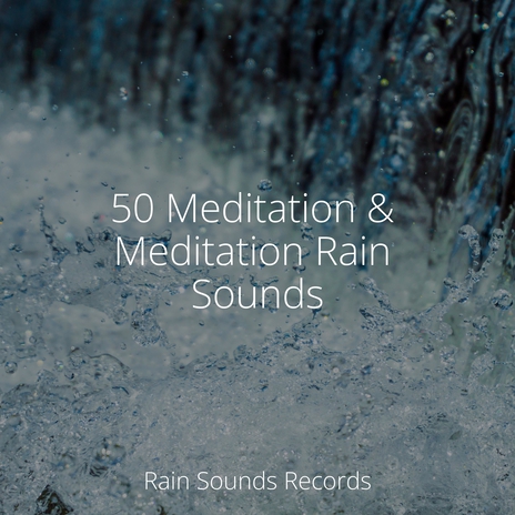 Feathered Canopy's Melody ft. Rain Sound Studio & Nature Sounds | Boomplay Music