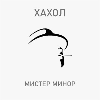 Мистер минор