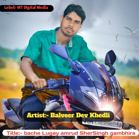 Bache Lugay Amrud Shersingh Gambhira | Boomplay Music