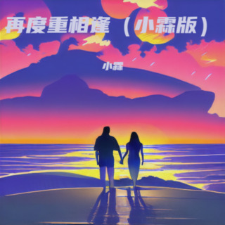 再度重相逢（小霖版） lyrics | Boomplay Music