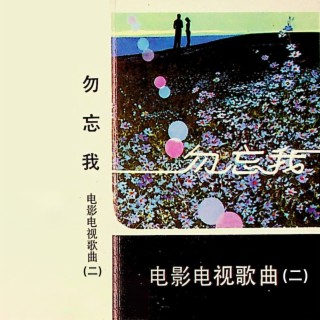 勿忘我—电影电视歌曲（二）