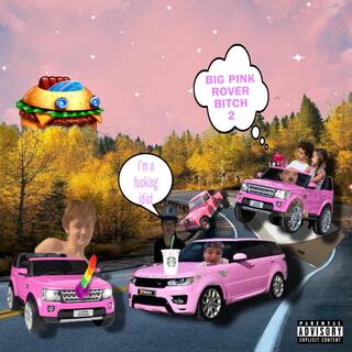 BIG PINK ROVER BITCH 2