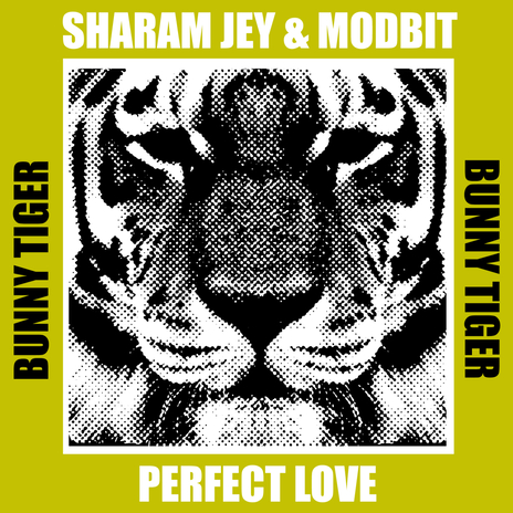 Perfect Love ft. MODBIT | Boomplay Music