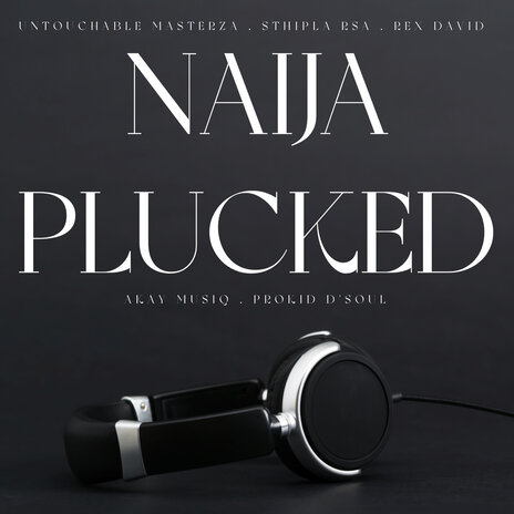 Naija Plucked ft. Sthipla rsa, Rex David official, Akay MusiQ & Prokid D'Soul | Boomplay Music