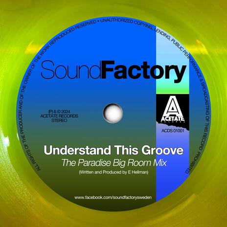 Understand This Groove (Paradise Big Room Edit) | Boomplay Music