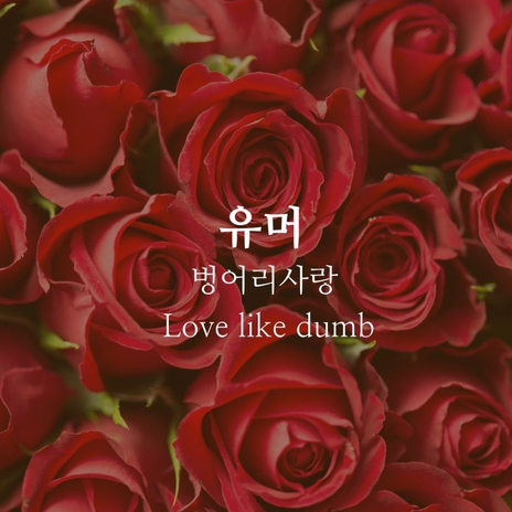 Love like dumb | Boomplay Music