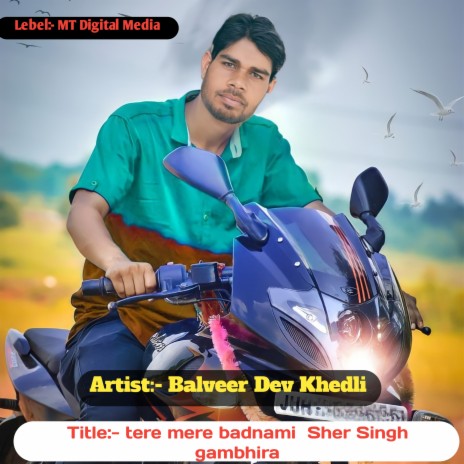 Tere Mere Badnami Sher Singh Gambhira | Boomplay Music