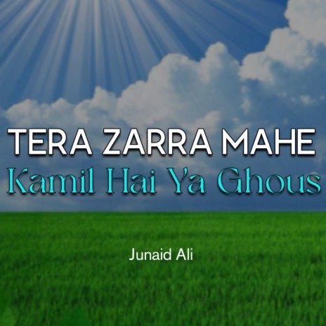 Tera Zarra Mahe Kamil Hai Ya Ghous | Boomplay Music