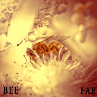 BEE lyrics | Boomplay Music
