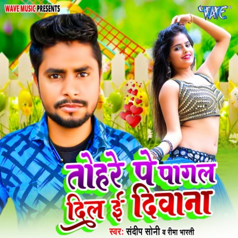 Tohare Pe Pagal Dil E Diwana ft. Rima Bharti | Boomplay Music