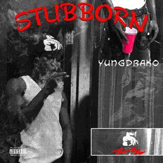 Stubborn