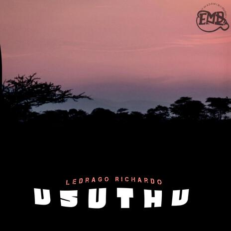 Usuthu ft. LeDrago Richardo | Boomplay Music