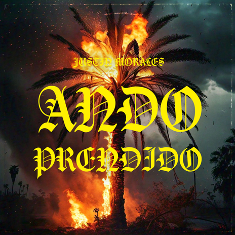 Ando Prendido | Boomplay Music