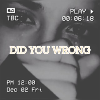 Did You Wrong