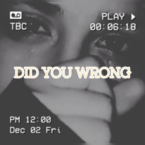 Did You Wrong | Boomplay Music