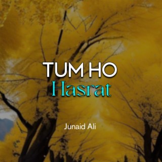 Tum Ho Hasrat