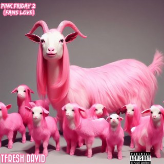 Pink Friday 2 (Fans Love)