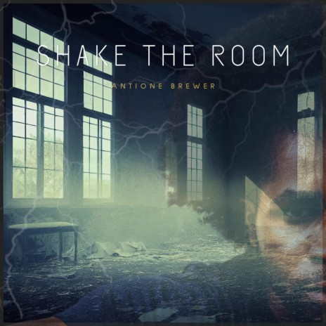 Shake The Room | Boomplay Music