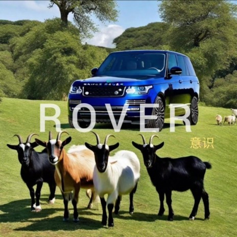 ROVER | Boomplay Music