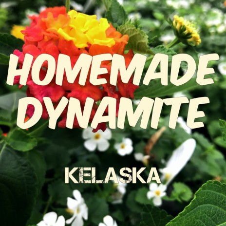 Homemade Dynamite | Boomplay Music