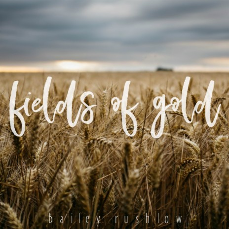 Fields of Gold (Acoustic) | Boomplay Music