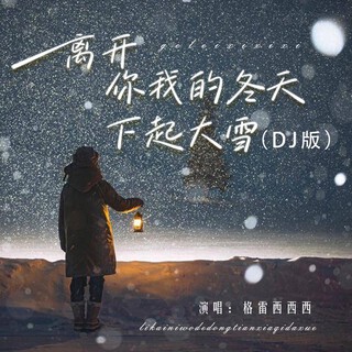 离开你我的冬天下起大雪DJ版