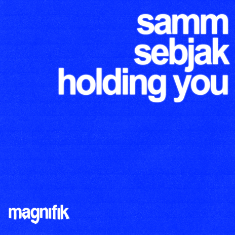 Holding You ft. Sebjak | Boomplay Music