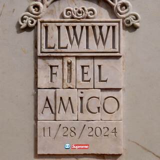 LLWIWI (Fiel Amigo)