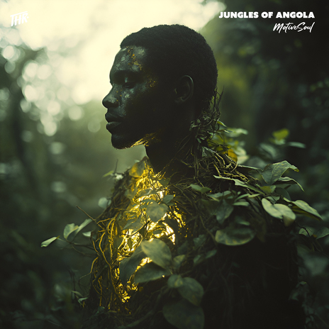 Jungles Of Angola | Boomplay Music