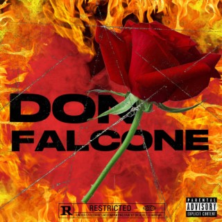 Don Falcone lyrics | Boomplay Music