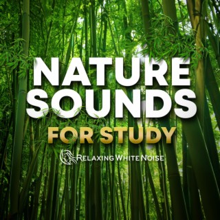 Nature Sounds for Study