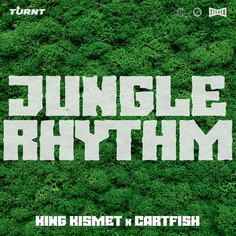 Jungle Rhythm ft. CARTFISH | Boomplay Music