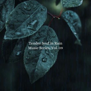 Tender Soul in Rain Music Series, Vol. 09