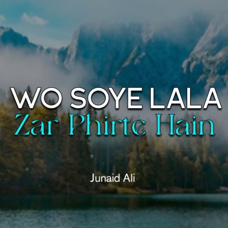 Wo Soye Lala Zar Phirte Hain | Boomplay Music