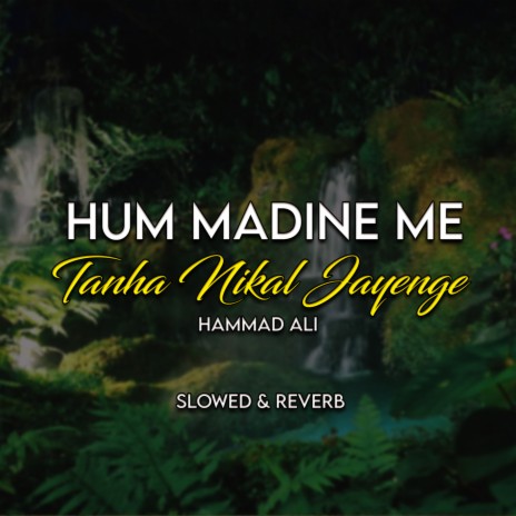 Hum Madine Me Tanha Nikal Jayenge Lofi | Boomplay Music