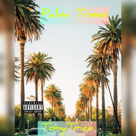 Palm Trees | Boomplay Music